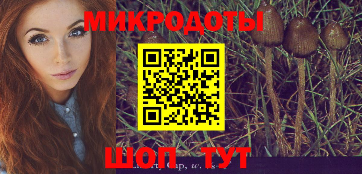 Псилоцибиновые грибы ЛСД Можайск